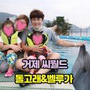 풍금노래클럽 | 거제 씨월드는 돌고래 벨루가와 함께 어린이에게는 환상을 어른들에게는 추억을 주는 곳