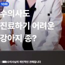 견종혐오 유발하는 게시글 올린 반려동물 용품 판매 업체^^ 이미지