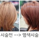 블랙스완헤어살롱 네이버블로그