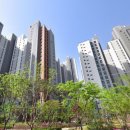 영덕레스피아 농구장 이미지