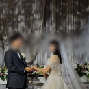 더퍼스트웨딩