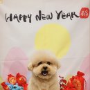 힐스타운 동물병원 이미지