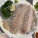 올레요 회센터 이미지