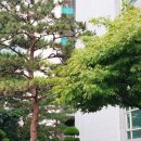 법무법인두경