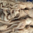 낙지의 전설 이미지