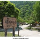 천동캠핑장(하) 이미지