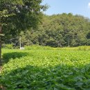 제천공인중개사사무소 이미지