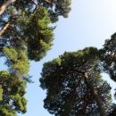 풍년갈비 이미지