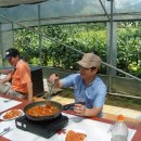 용일농장 이미지