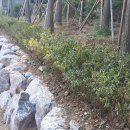 케이월드종합건설㈜ 이미지