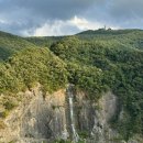 단양흑마늘빵 | 단양 구경시장 먹거리 흑마늘누룽지닭강정 단빵제빵소 포장 후기