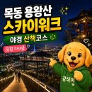 송단정자 공중화장실 | [목동] 용왕산 스카이워크 야경 후기, 생각보다 서울뷰가 제대로였다
