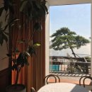 해안남로 | 토크라피(Talkraphy) 강화도 데이트 코스 추천 감성 카페 - 쑥라떼, 무화과 티라미수 후기