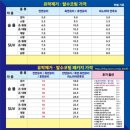 빛나리광택