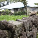 신풍리-3 이미지