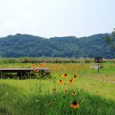 청양동강리오토캠핑장 이미지