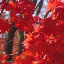 소리쳐7080 티스토리