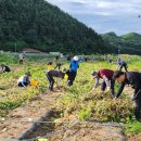 홍천군농업기술센터 이미지