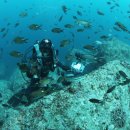 황금어장 이미지