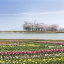 센트럴팜 이미지