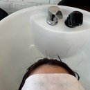 부천 상동역 미용실 보그헤어 상동점 시세이도 클리닉 후기