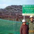 민주농장 이미지