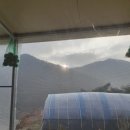 인덕농장 이미지