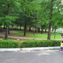 경기도 양평군 조현초등학교 이미지