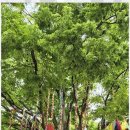 일월여정 이미지