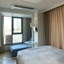스테이조이 | 을지로 명동 호텔 어반스테이 명동 센트럴뷰스위트 숙박 후기 내돈내산