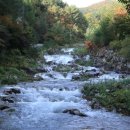 도사곡길 이미지