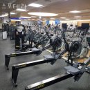 스포테라 이미지