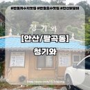 청기와 | 반월호수맛집 청기와 안산닭갈비 후기