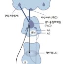 무림한의원 이미지