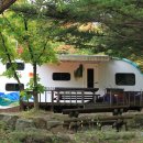 에코야영장 이미지