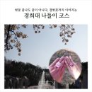 경희대학교 중앙박물관 | 경희대 국제캠퍼스 벚꽃, 겹벚꽃 실시간 후기｜사진스팟 &amp; 주차 할인 꿀팁까지