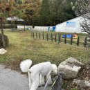 피플펜션 이미지