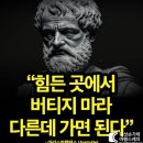 11월 네째주 태국 방콕 일상 - 태국 러이끄라통 축제 등