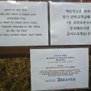 투모텔 | 객실부터 침대까지 넓은 용원 투헤븐호텔