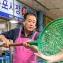 청정회바다나라 이미지