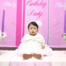 녹원잔치뷔폐 이미지