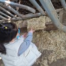 여물소농장 이미지