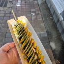 짱 오락실 | 청주 성안길 간식｜CGV 서문 뚝방 닭꼬치 솔직후기
