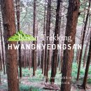 부경대학교 10공학관 | 부산 쉬운 등산 코스 경성대 출발 황령산 a코스, 편백숲