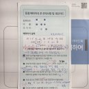 배양 | [시험관] 4일배양 배아 이식 후기