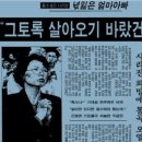 초롱커피숍 이미지
