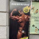 Top-tier GYM 이미지