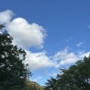 [포항] 1박2일 여행 : 보경사, 구룡포 그라미호텔, 호미곶, 다정식당(아침), 장기식당