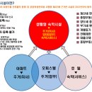 엠숙박 이미지