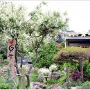 이주호농장 이미지